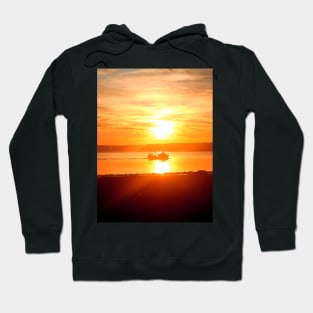 eye catching Hoodie